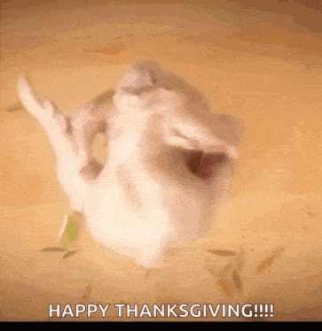 a picture of a chicken with the words happy thanksgiving !!! below it