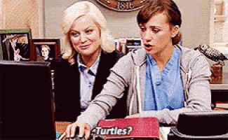 two women are looking at a computer screen with a box that says turtles on it .