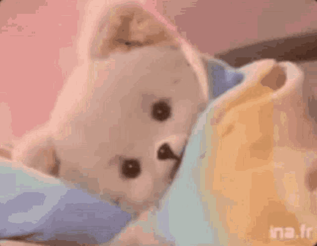 a teddy bear is laying on a bed with a blanket around it .