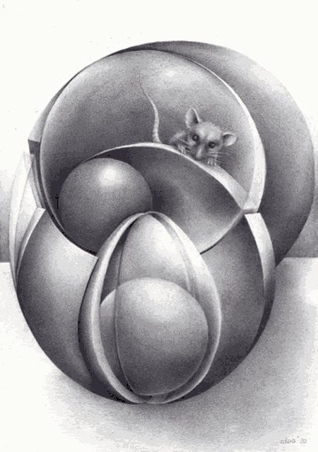 a black and white drawing of a mouse in a sphere by akira