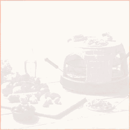 a wppo table top pizza oven carrying case / cover is $ 29.99