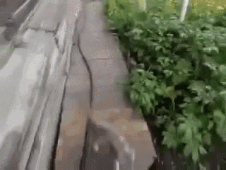 a person is walking down a sidewalk next to a fence and trees .