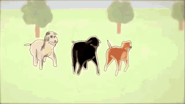 three cartoon dogs are running in a field .