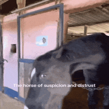 a horse in a stable with the words " the horse of suspicion and distrust "