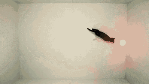 a shadow of a person is projected on a wall .