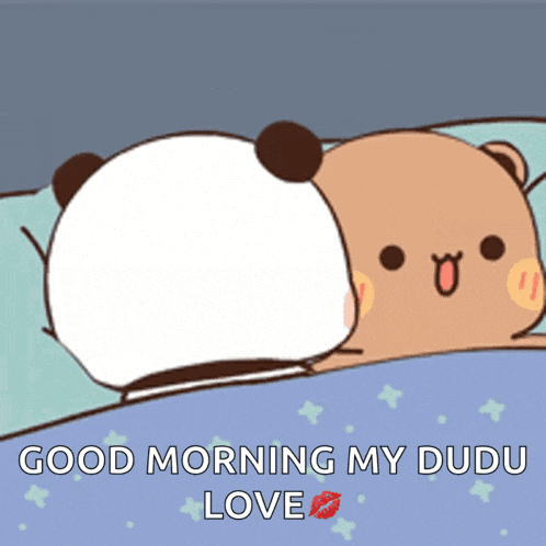 a panda bear laying on top of another bear with the words good morning my dudu love below it