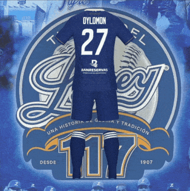 a jersey with the name dylomon on the back