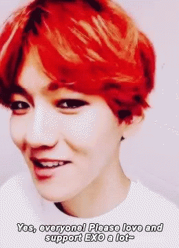 Exo Support GIF - Exo Support GIFs