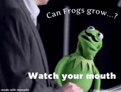 Mustache Kermit GIF - Mustache Kermit GIFs