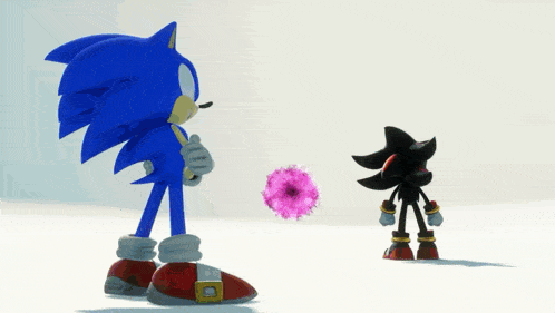 sonic the hedgehog standing next to shadow the hedgehog holding a pink flower