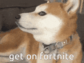 a dog laying down with the words get on fortnite written on it