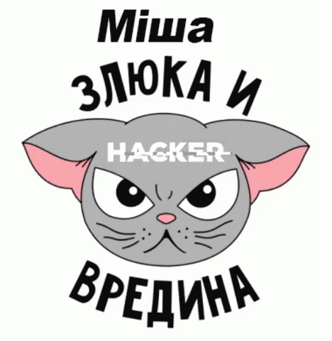 Hacker Cat GIF - Hacker Cat GIFs
