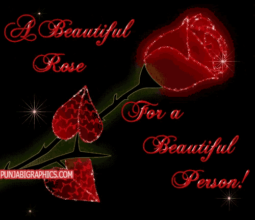 a beautiful rose for a beautiful person with a red rose on a black background