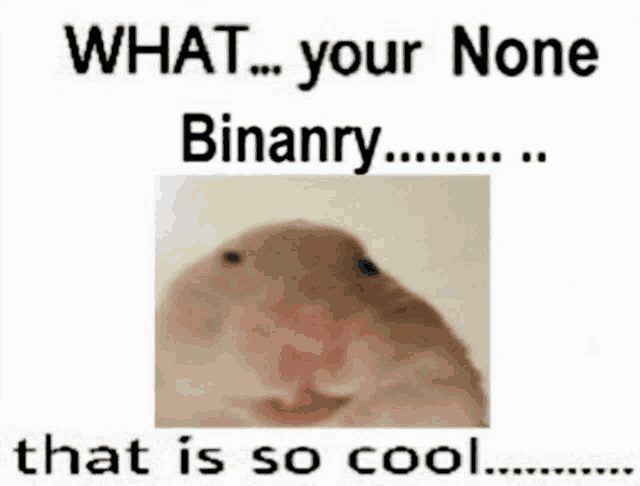 a picture of a hamster with the words what your none binanry that is so cool