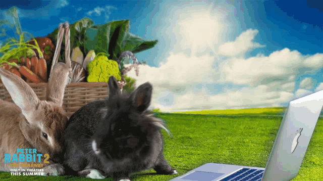 Snuggle Peter Rabbit GIF - Snuggle Peter Rabbit Peter Rabbit2the Runaway GIFs