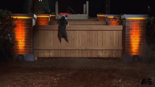 Climbing Obstacles GIF - Climbing Obstacles Going Up GIFs