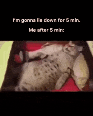 5 Min Going To Lie Down GIF - 5 Min Going To Lie Down Sleepy Cat GIFs
