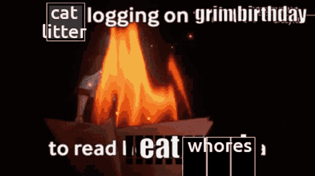 a picture of a cat logging on grim birthday litter to read meat whores
