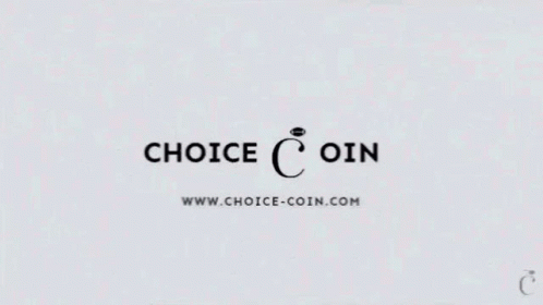 Choice Coin GIF - Choice Coin Choice Cho GIFs