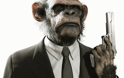 Grumpier Monkey GIF - Grumpier Monkey GIFs