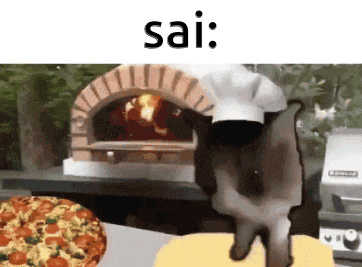a cat wearing a chef 's hat is standing next to a pizza in front of an oven .