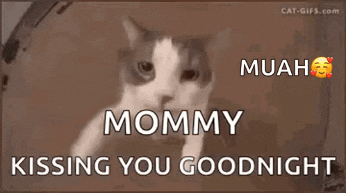 a cat says mommy muah kissing you goodnight .