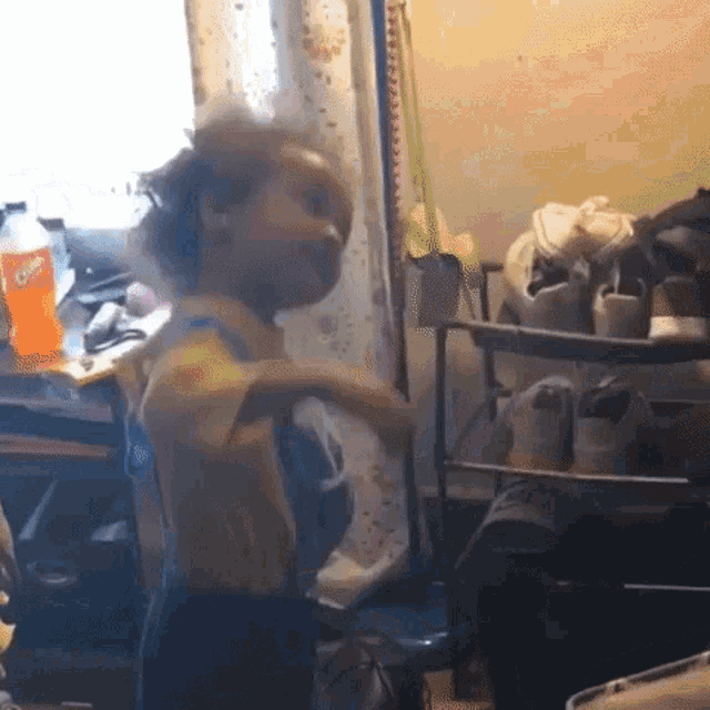 Whip My Hair Back And Forth Willow Smith GIF - Whip My Hair Back And Forth Willow Smith Afro GIFs