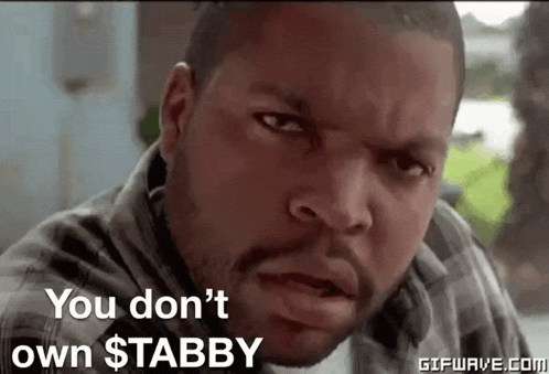 ice cube is making a funny face and saying you do n't own $ tabby .