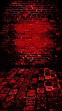 a man in a black leather jacket is smiling in front of a red brick wall