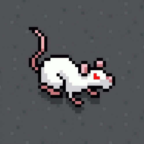 Rat Tuber Rat GIF