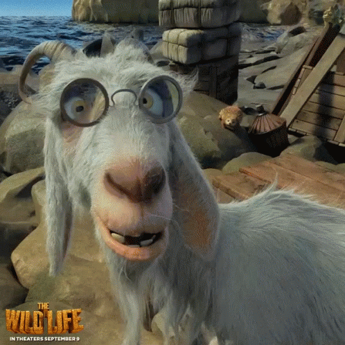 Goat The Wild Life GIF - Goat The Wild Life GIFs