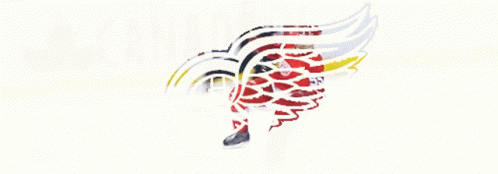 Detroit Red Wings Lets Go Red Wings GIF - Detroit Red Wings Red Wings Lets Go Red Wings GIFs