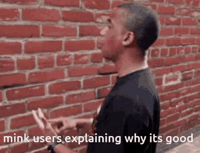 a man standing in front of a brick wall with mink users explaining why it 's good written below him