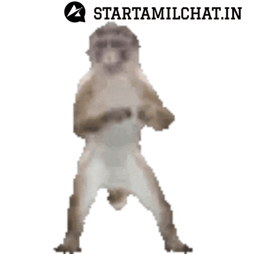 a cat is standing on its hind legs with a starttamilchat.in logo in the corner