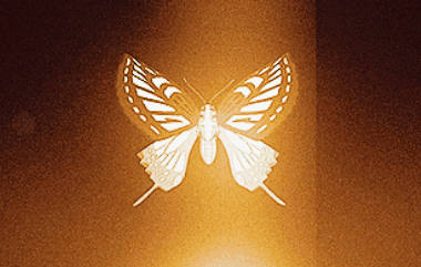 Butterfly Kara No Kyokai GIF - Butterfly Kara No Kyokai The Garden Of Sinners GIFs