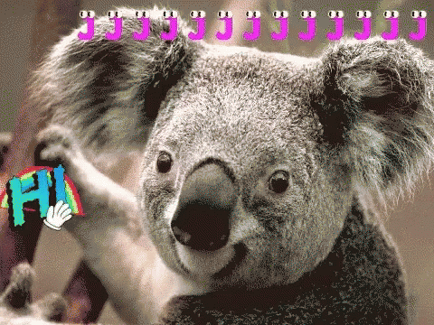 Hi Koala GIF - Hi Koala Cute Animals GIFs