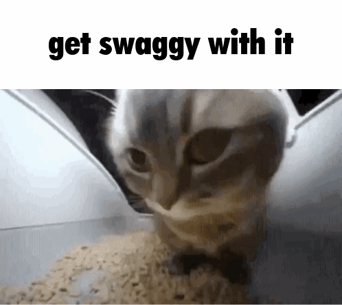 Get Swaggy With It Get Jiggy With It GIF - Get Swaggy With It Get Jiggy With It Cat GIFs