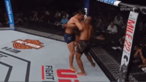 two men are fighting in a boxing ring with a sign that says mile 22 on it .
