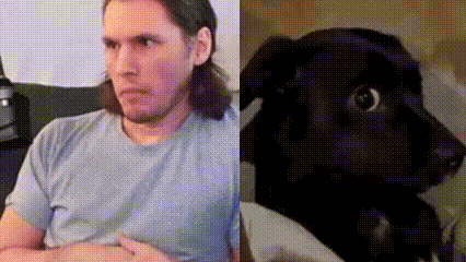 a man sitting on a couch next to a black dog looking at the camera .