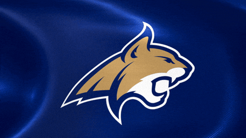 a logo for a sports team shows a cat with the letter c on its mouth