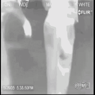 a black and white image of a person with the words white flir on the top