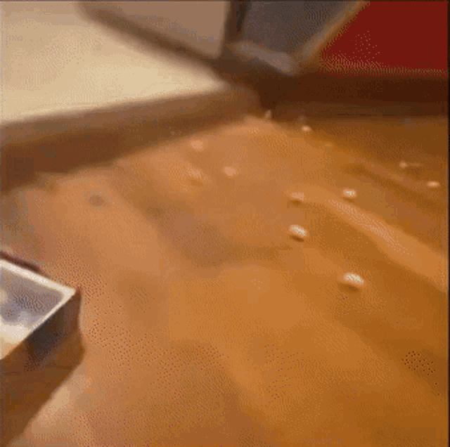 a close up of a brown surface with a few white dots