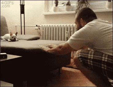 a man is kneeling down in front of a couch with a dog laying on it .