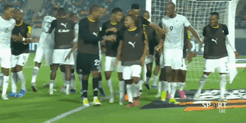 a group of soccer players on a field with the number 9 on the back of their shirt