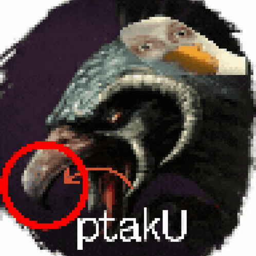 a pixel art image of a bird with the word ptaku written below it
