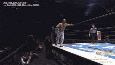 a wrestling match between bushi and sanada is being shown on njpwwworld.com