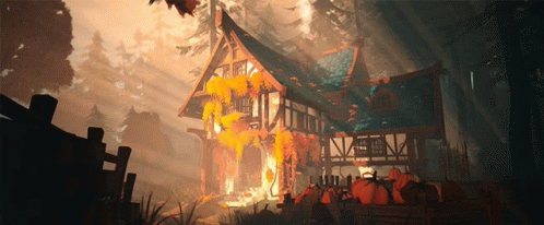 House GIF - House GIFs