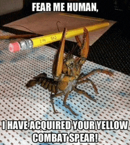 a crab holding a pencil with the caption fear me human