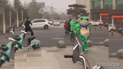 a frog on a bike with a gifrun.com watermark on the bottom right