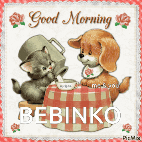 a picture of a dog and a cat with the words good morning bebinko